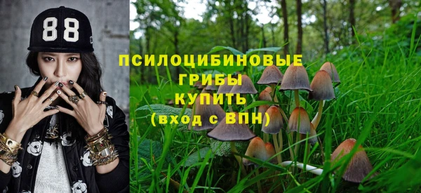 кристаллы Гусь-Хрустальный