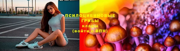 кристаллы Гусь-Хрустальный