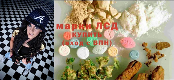 дмт Дмитров