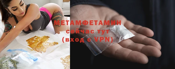 дмт Дмитров