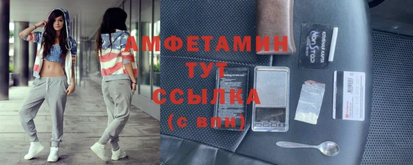 кристаллы Гусь-Хрустальный
