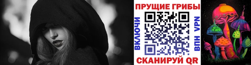 Псилоцибиновые грибы Psilocybe Заринск