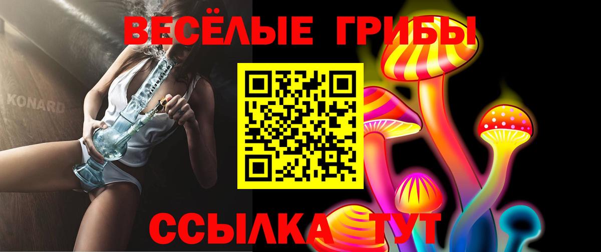 Галлюциногенные грибы Cubensis  сколько стоит  Заринск  Вход с VPN 